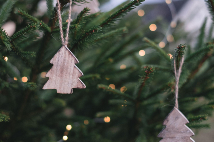 Pink Tree for Christmas: Celebrating Freedom