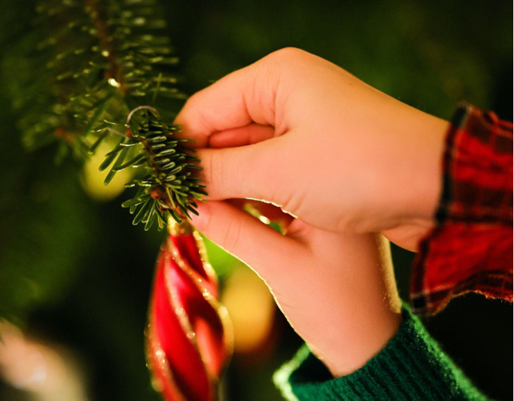 The Magic of Christmas in Fort Myers' Photo Shoot Studios